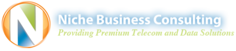 Niche Business Consulting